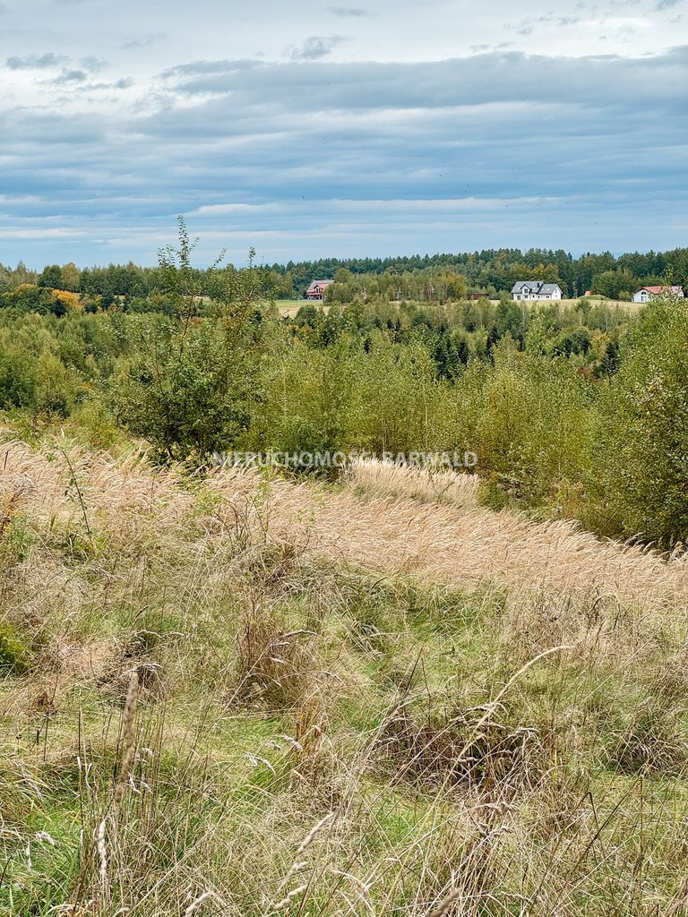 Działka siedliskowa na sprzedaż Lanckorona  7 821m2 Foto 2