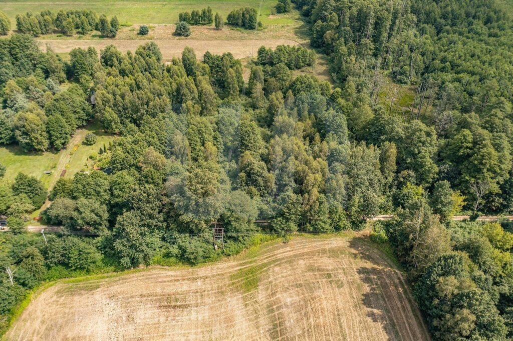 Działka budowlana na sprzedaż Rowy  6 400m2 Foto 5