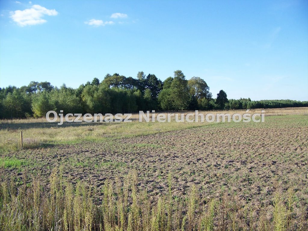 Działka budowlana na sprzedaż Sicienko  1 125m2 Foto 1