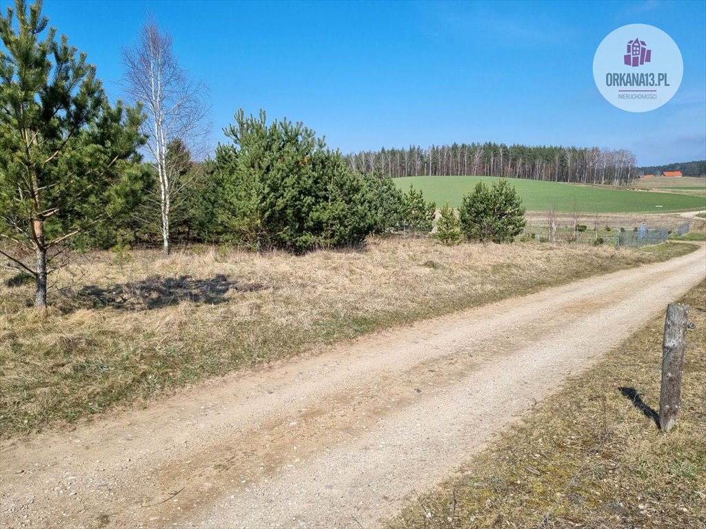 Działka rolna na sprzedaż Biesówko, Biesówko  4 093m2 Foto 8