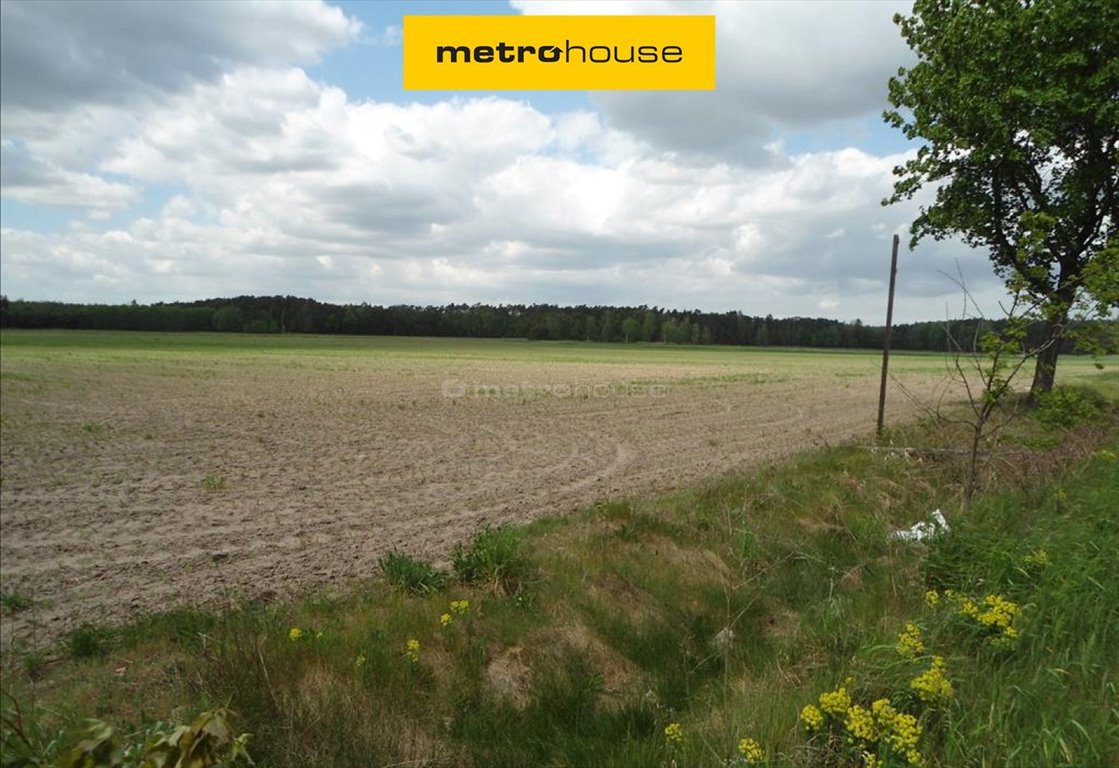 Działka rolna 2,3 ha z mediami i MPZP w Lucinach Luciny  22 743m2 Foto 1