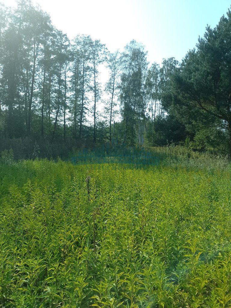 Działka budowlana na sprzedaż Izabelin-Dziekanówek  1 200m2 Foto 5