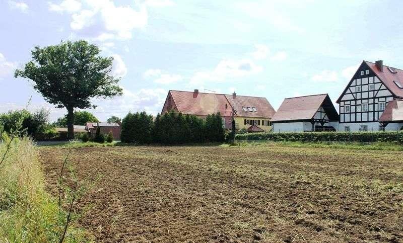 Działka budowlana na sprzedaż Łagów, ul. Górna  2 911m2 Foto 2