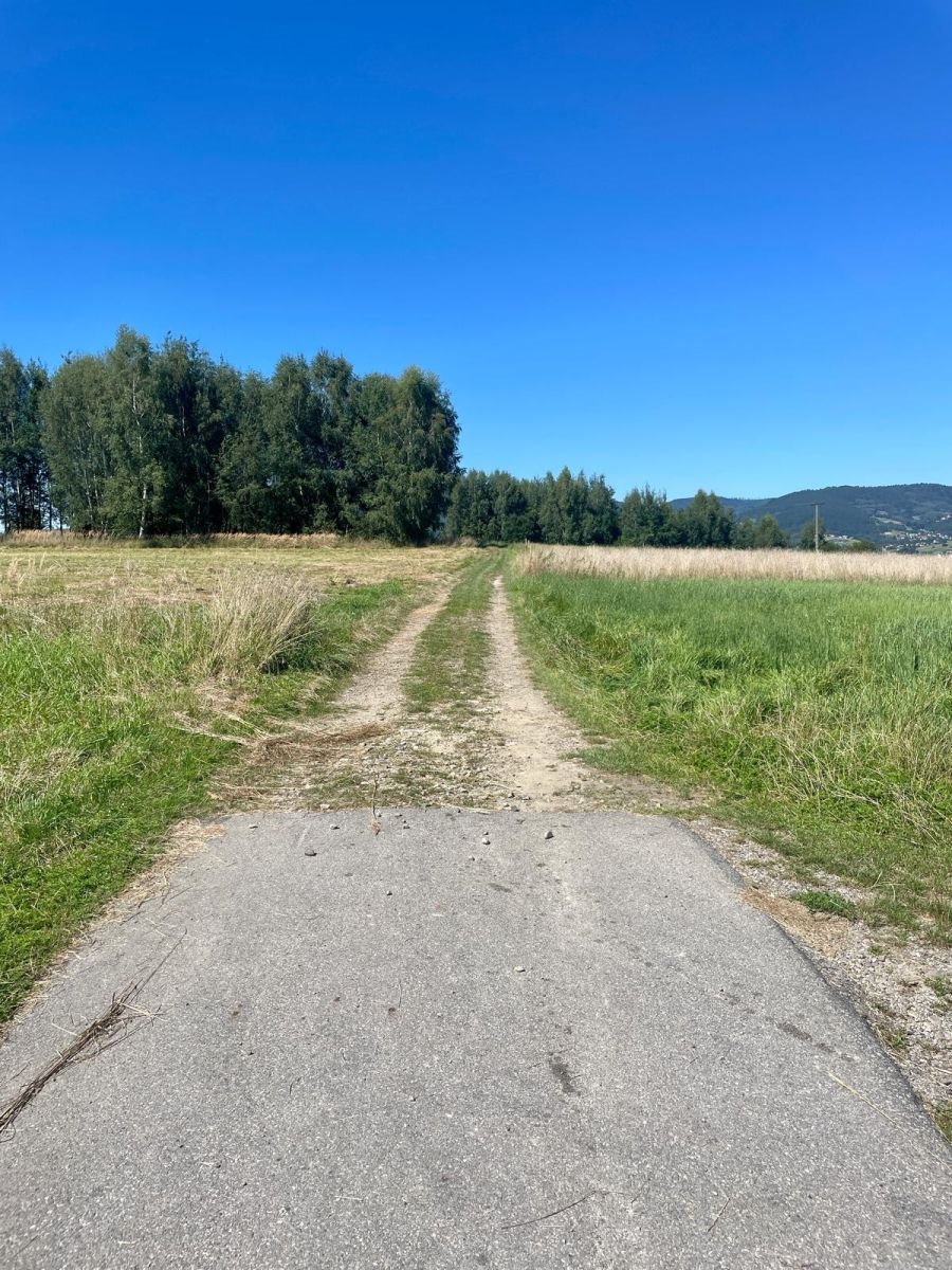 Działka budowlana na sprzedaż Rychwałd, Holnówka  1 073m2 Foto 6