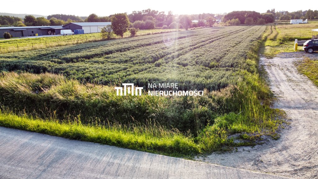 Działka inna na sprzedaż Lutoryż  3 300m2 Foto 1