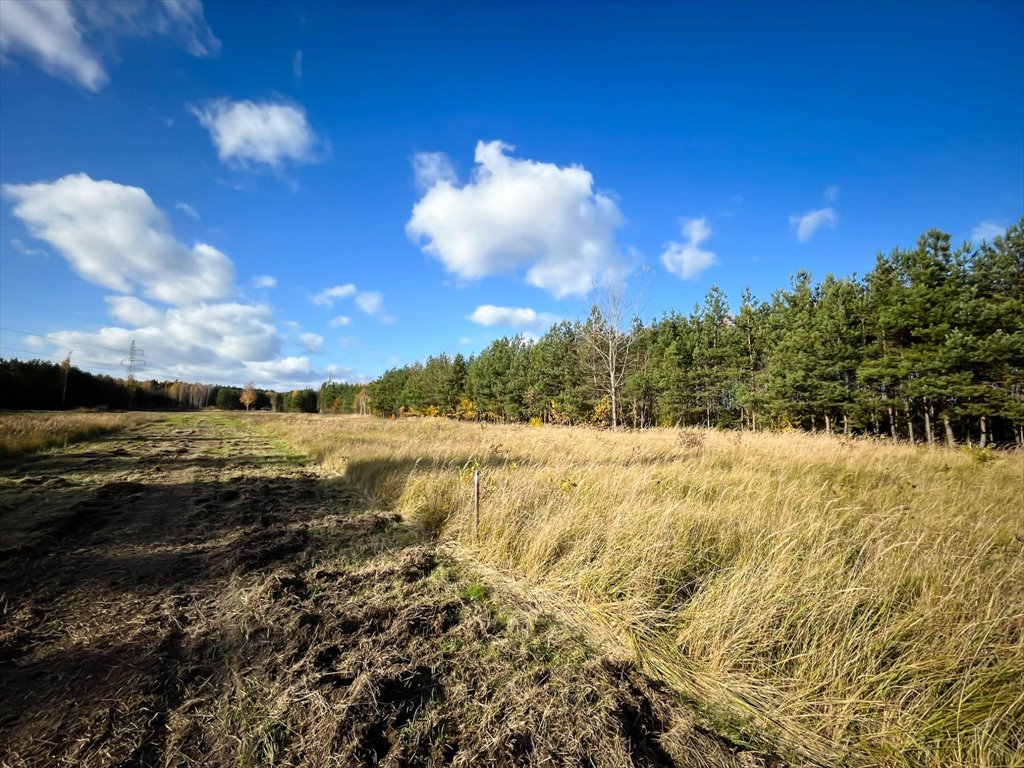 Działka budowlana na sprzedaż Magonie  1 200m2 Foto 2