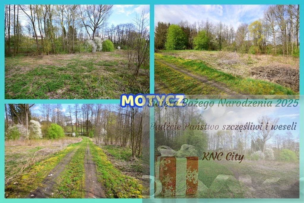 Działka rolna na sprzedaż Motycz  3 115m2 Foto 1