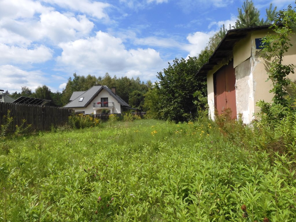 Działka budowlana na sprzedaż Trąbki  2 900m2 Foto 2