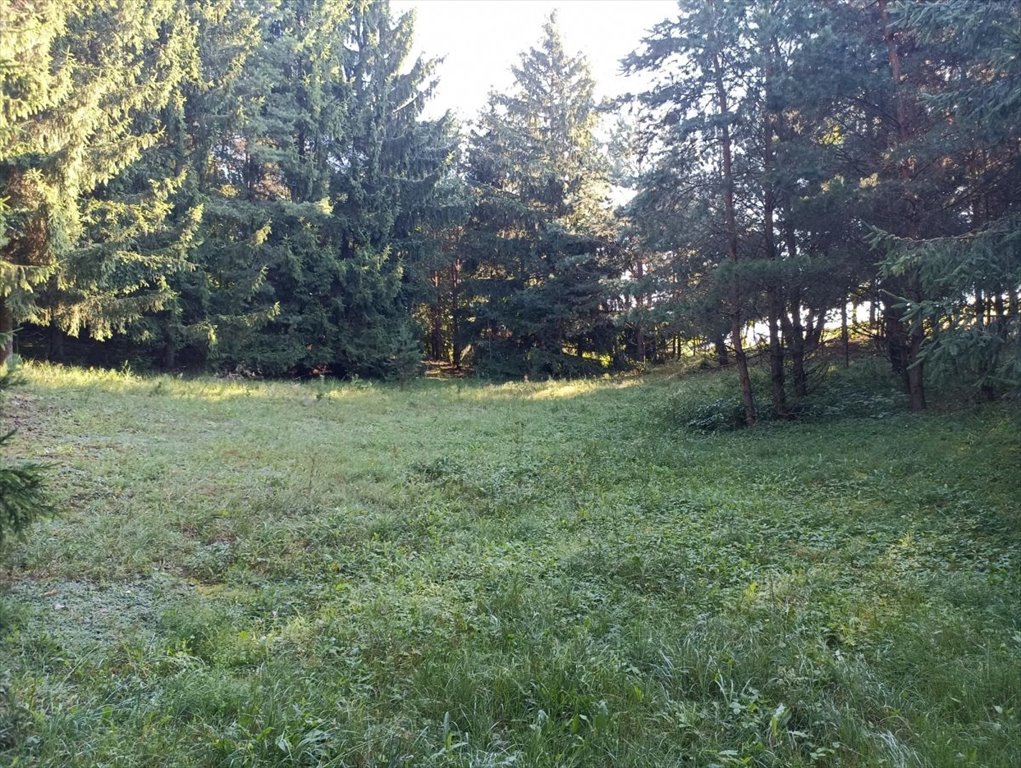 Działka gospodarstwo rolne na sprzedaż Udziejek  50 600m2 Foto 2