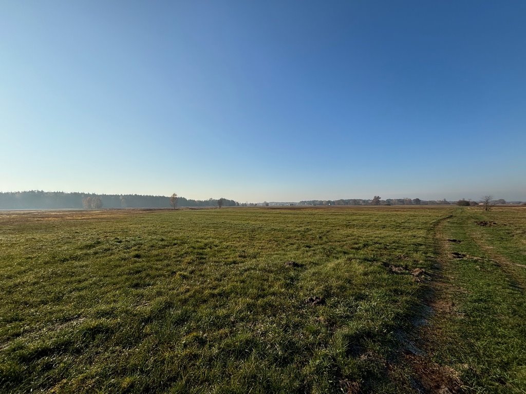 Działka rolna na sprzedaż Nowe Załubice  27 100m2 Foto 6