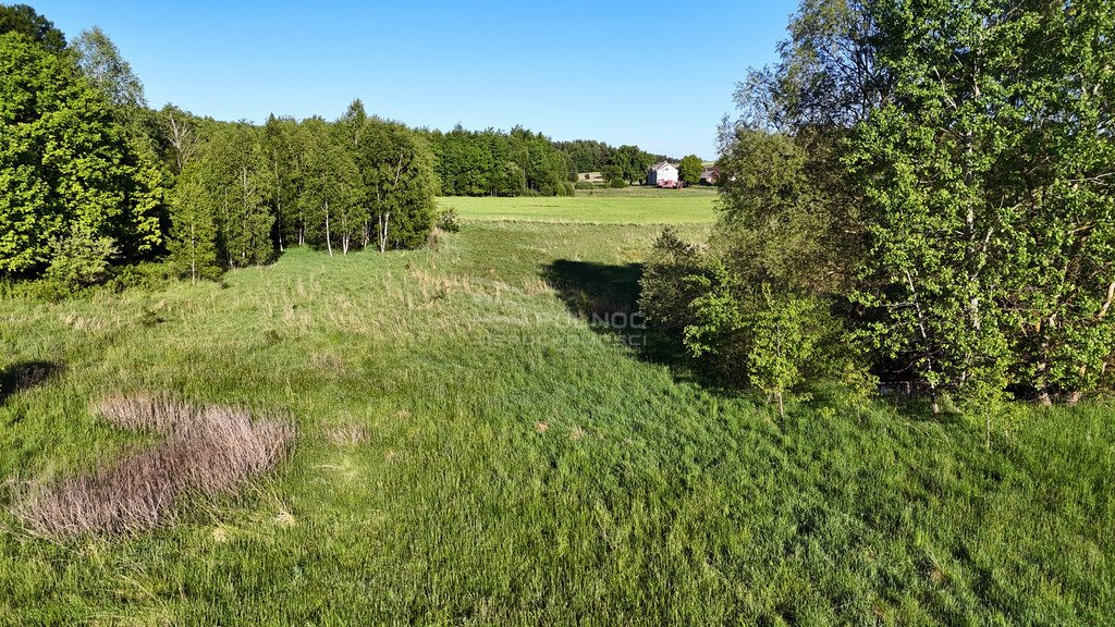 Działka inwestycyjna na sprzedaż Grabnik  25 600m2 Foto 8