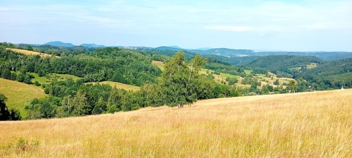 Działka budowlana na sprzedaż Michałkowa  1 200m2 Foto 7