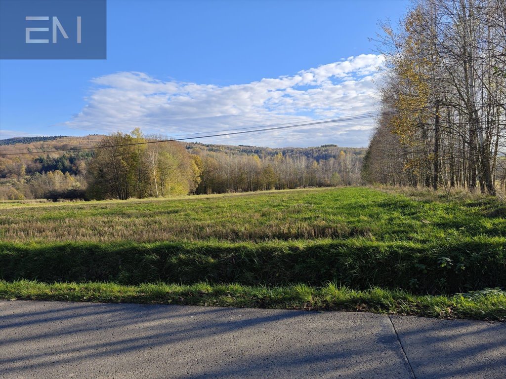 Działka budowlana na sprzedaż Konieczkowa  4 600m2 Foto 5