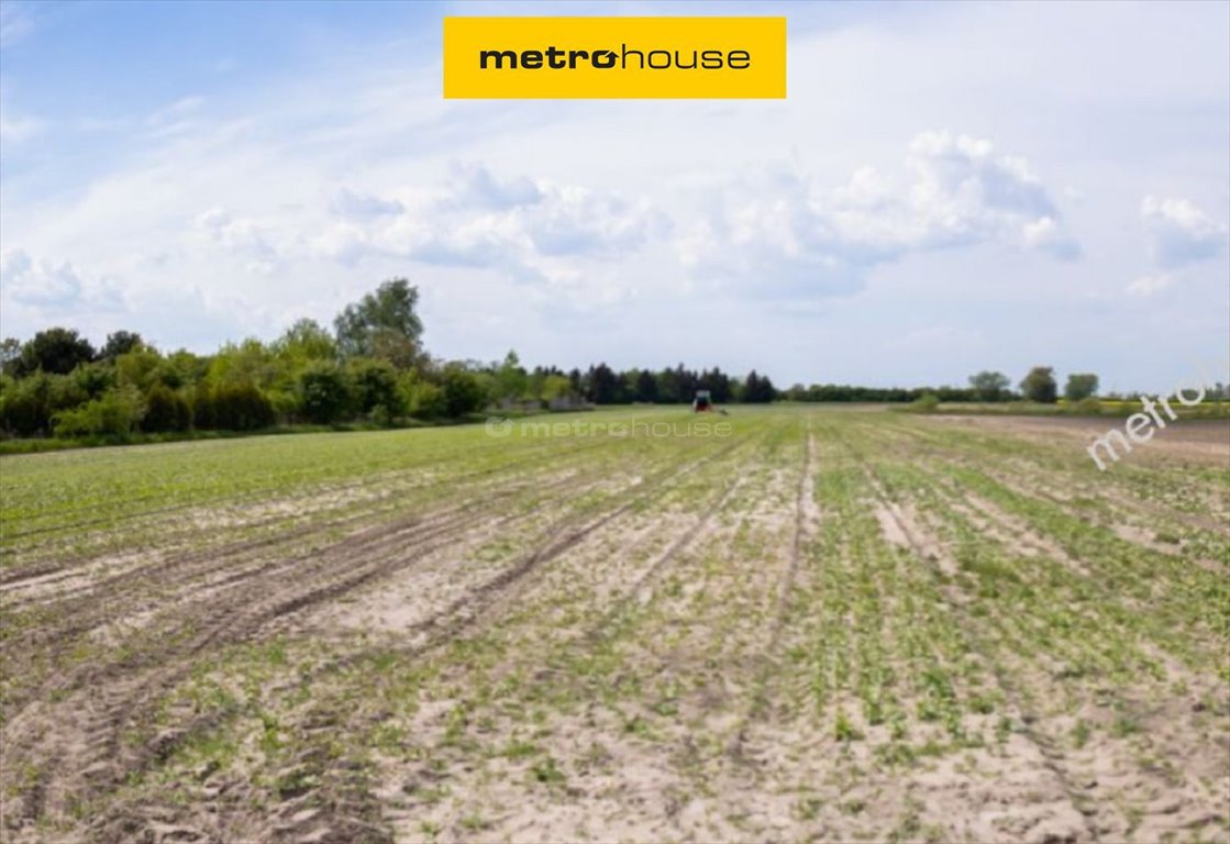 Działka budowlana 1716 m² z warunkami zabudowy, spokój i natura Poznań, Pokrzywno  1 716m2 Foto 1