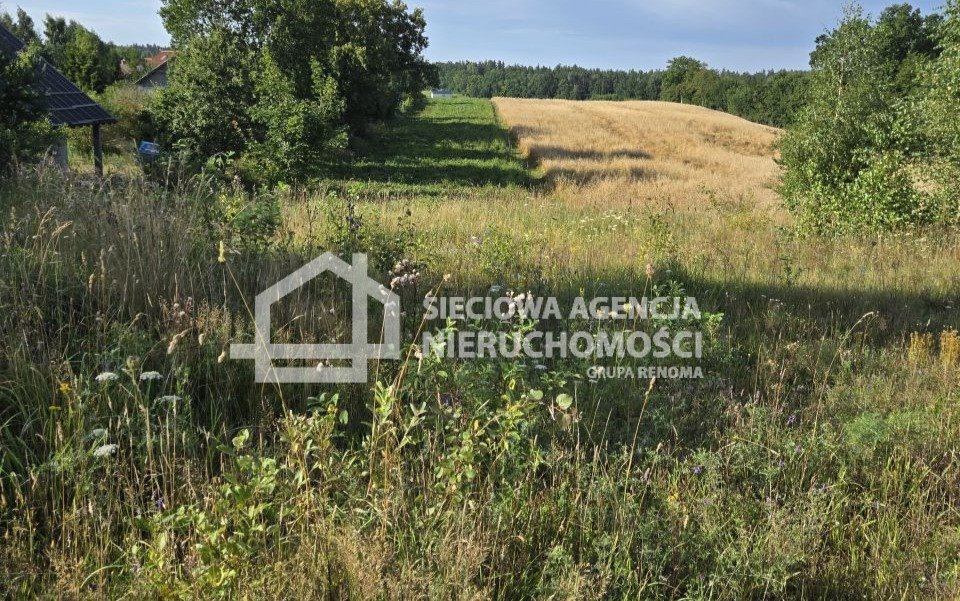 Działka budowlana na sprzedaż Skrzeszewo Żukowskie  1 142m2 Foto 1