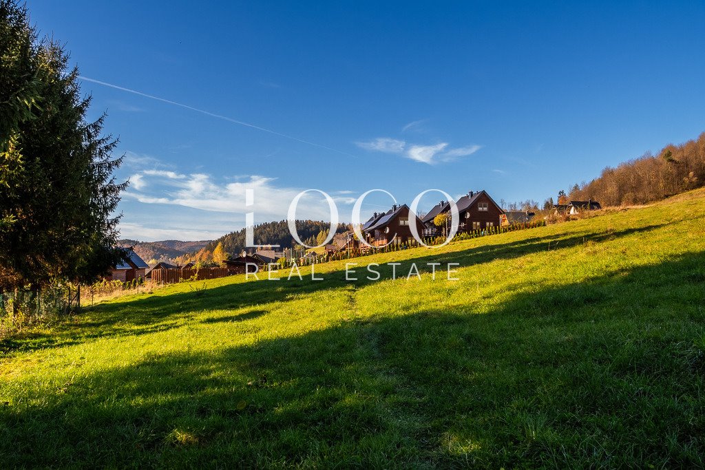 Działka budowlana na sprzedaż Zawóz  8 000m2 Foto 11