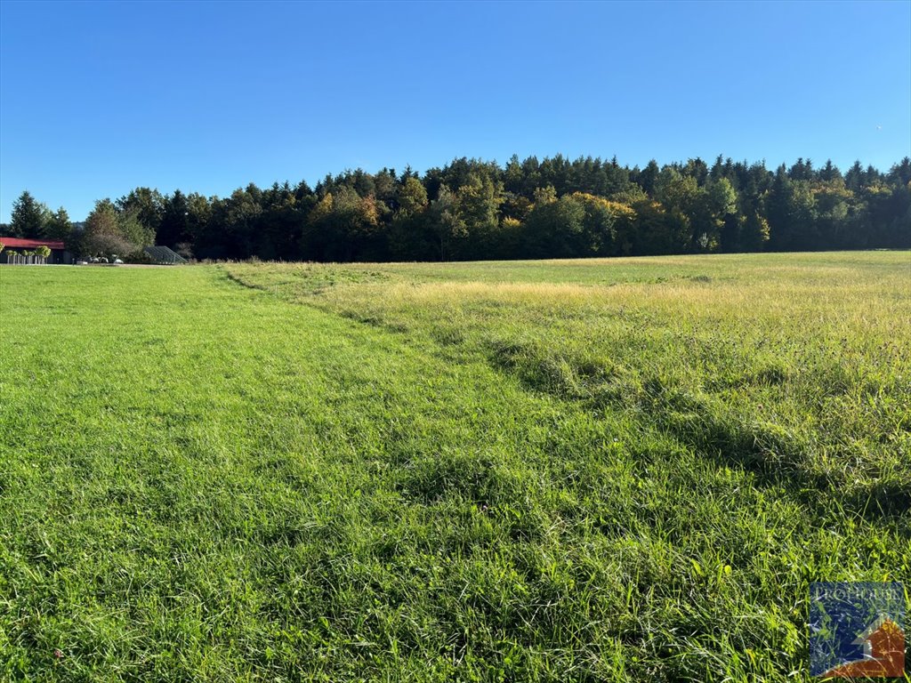 Działka budowlana na sprzedaż Męcina  6 600m2 Foto 10