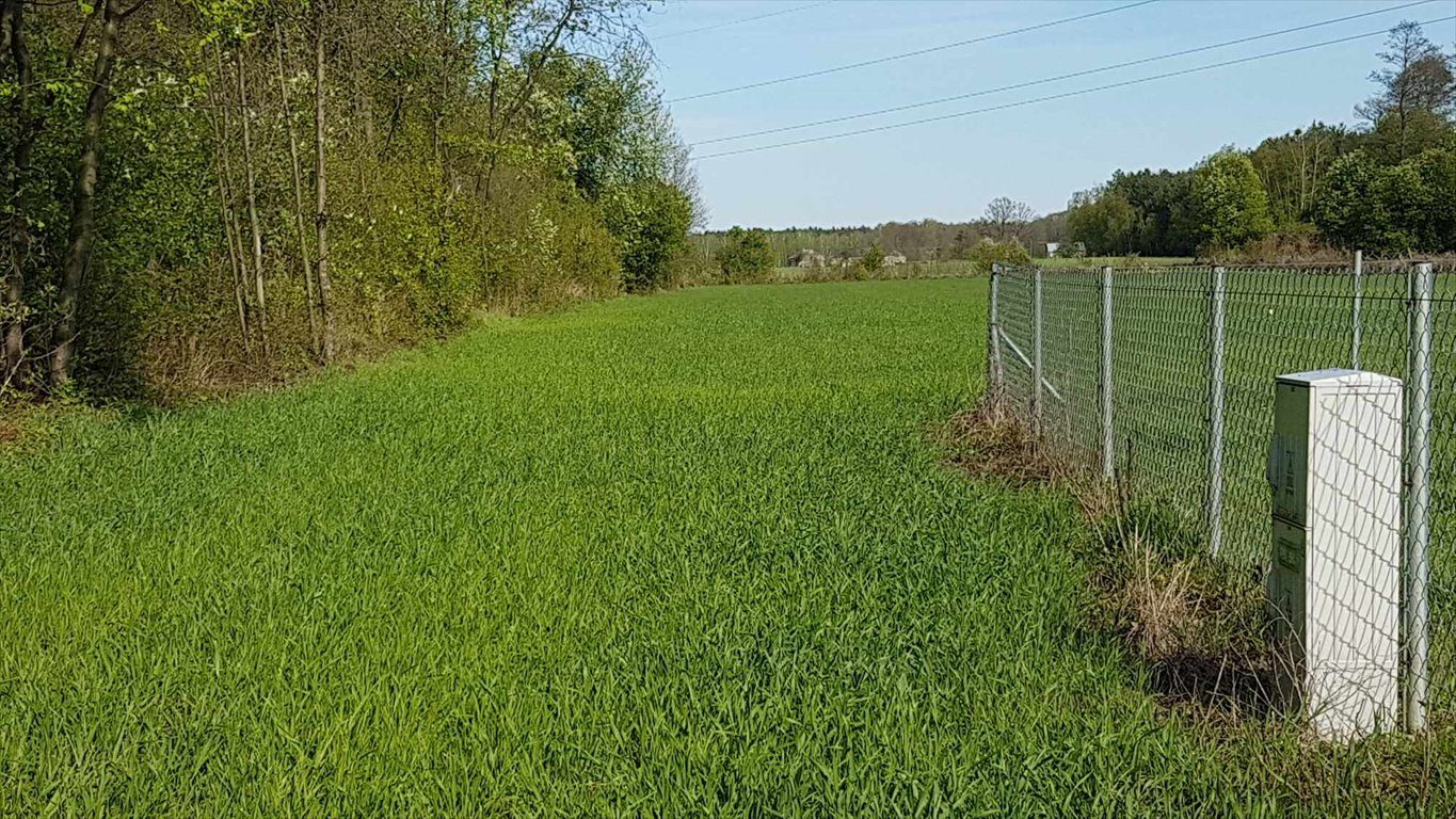 Działka budowlana na sprzedaż Miękiny  1 800m2 Foto 6