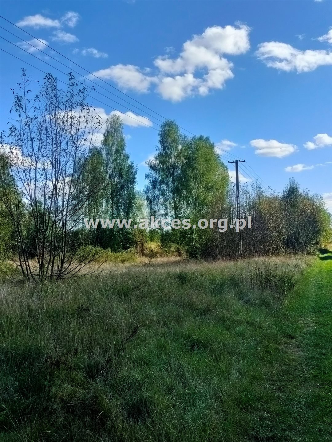 Działka budowlana na sprzedaż Secyminek  7 428m2 Foto 5