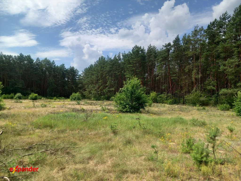 Działka 4,28 ha w Likcu z możliwością zabudowy i bliskością jeziora Likiec  4 280m2 Foto 1