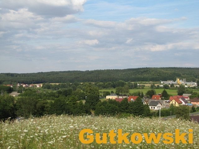 Działka rolna na sprzedaż Łąki Bratiańskie, Gmina Nowe Miasto Lubawskie  6 140m2 Foto 10