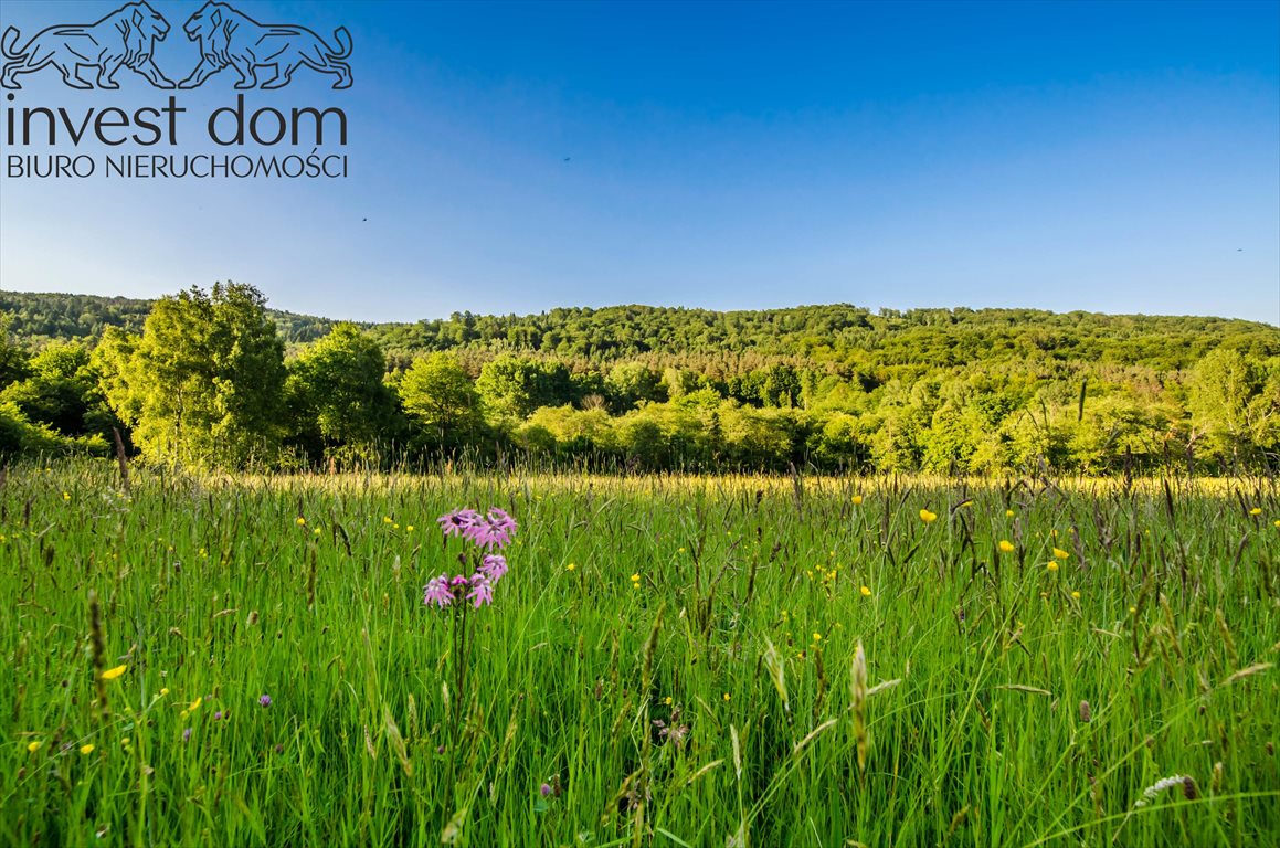 Działki rolne z krajobrazowym urokiem, 9 992 m2 Ropki  9 992m2 Foto 1