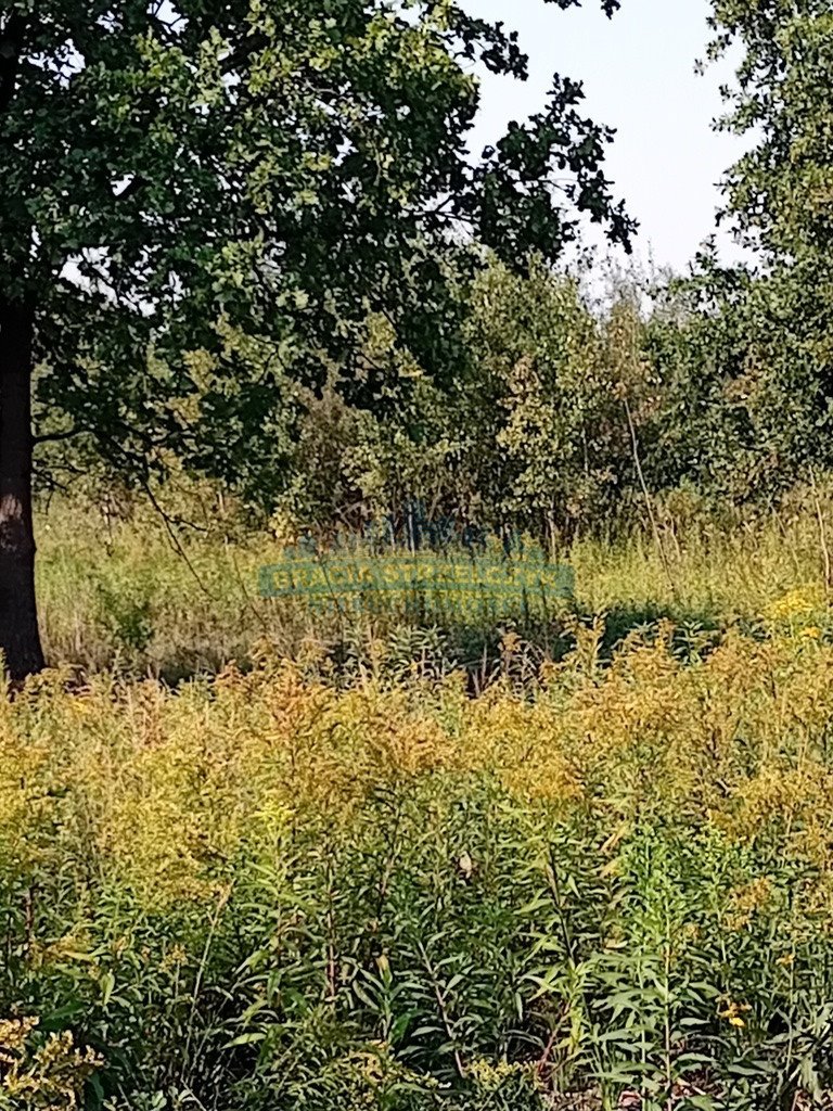 Działka budowlana na sprzedaż Izabelin-Dziekanówek  1 200m2 Foto 13