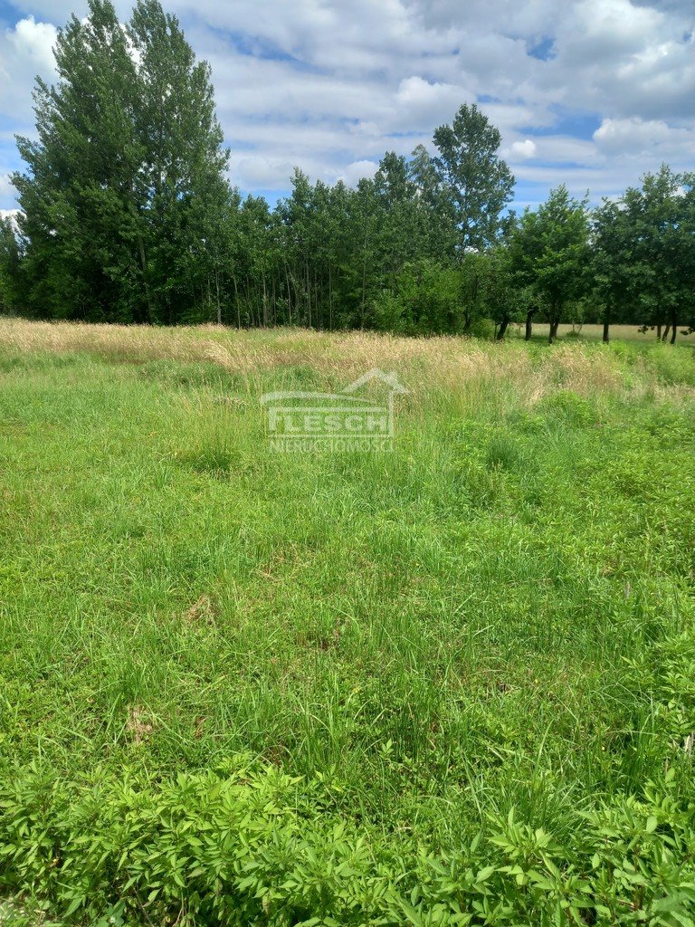 Działka budowlana na sprzedaż Oddział  1 000m2 Foto 1