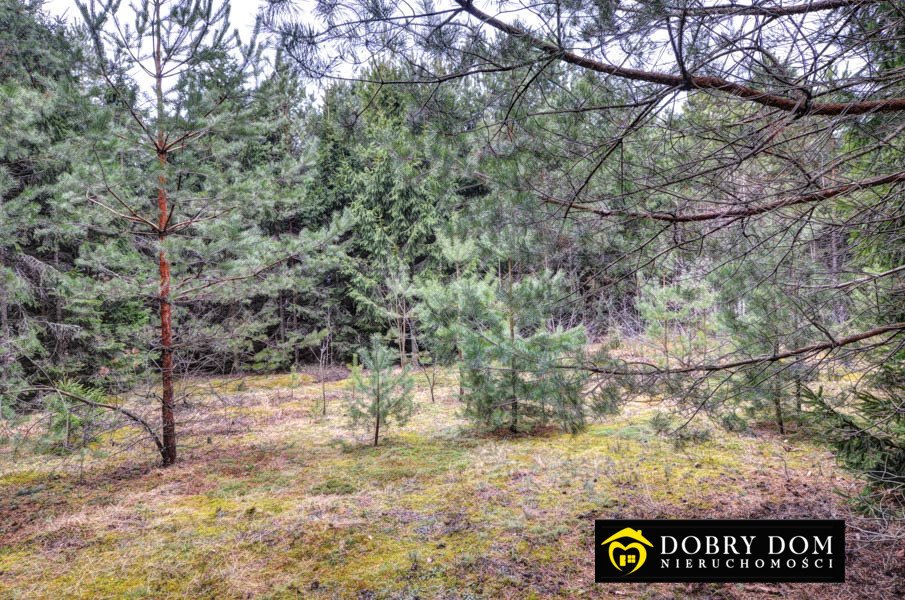 Działka 3140 m² pod zabudowę w Płaskiej, blisko jeziora Płaska  3 140m2 Foto 1