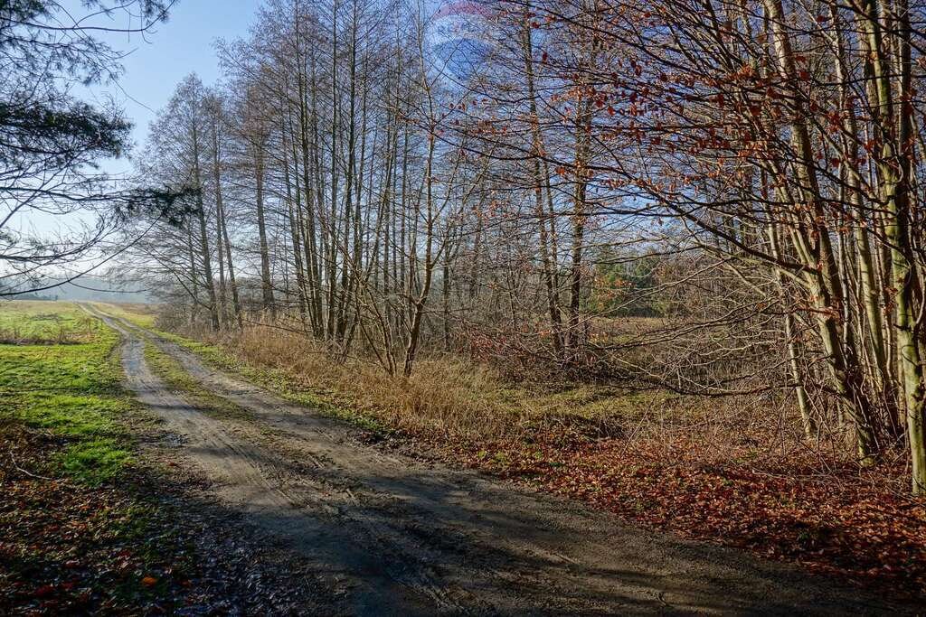 Działka budowlana na sprzedaż Waleriany  1 701m2 Foto 11