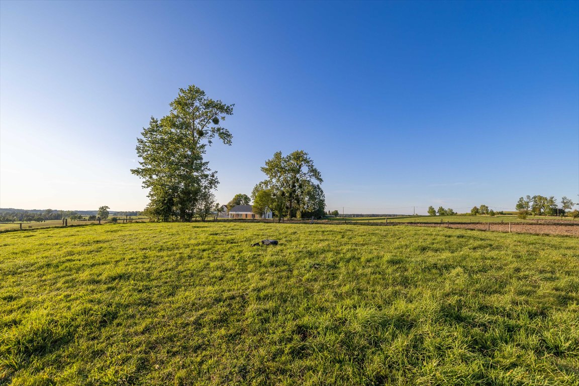 Działka rolna na sprzedaż Blanki  41 400m2 Foto 4