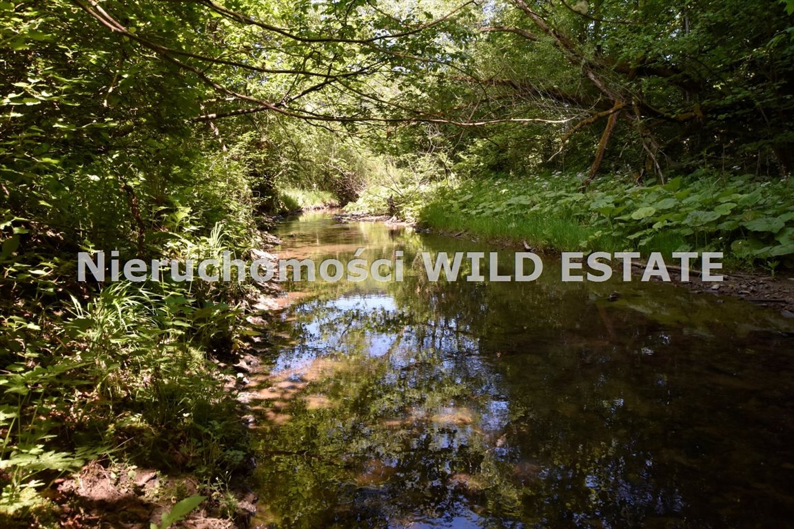 Działka inna na sprzedaż Ustrzyki Dolne, Brelików  50 336m2 Foto 7