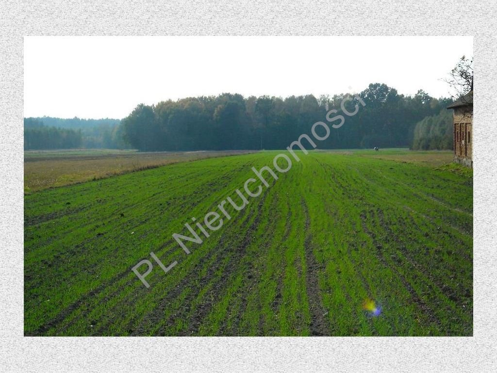 Działka rolna na sprzedaż Nowe Zalesie  3 960m2 Foto 3