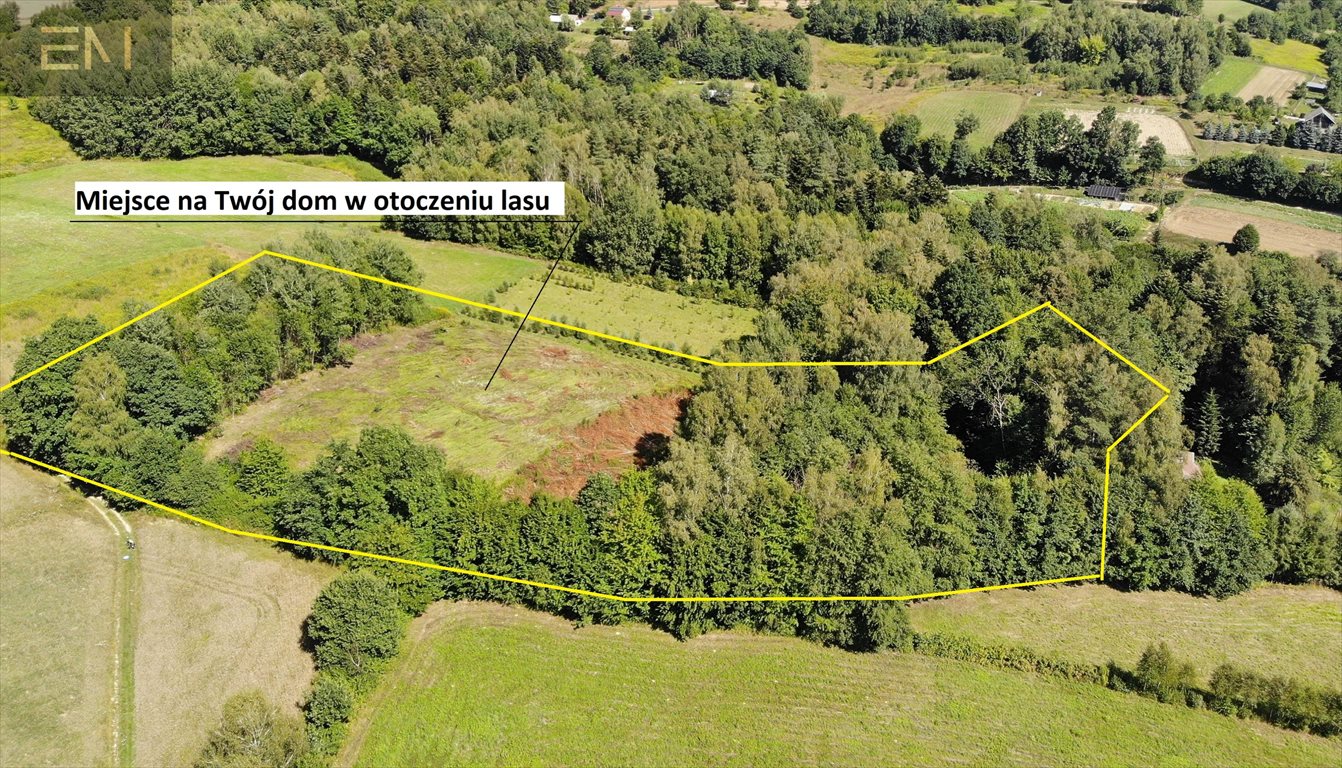 Działka 8,7 ha z lasem i możliwością zabudowy Glinik Zaborowski  8 700m2 Foto 1