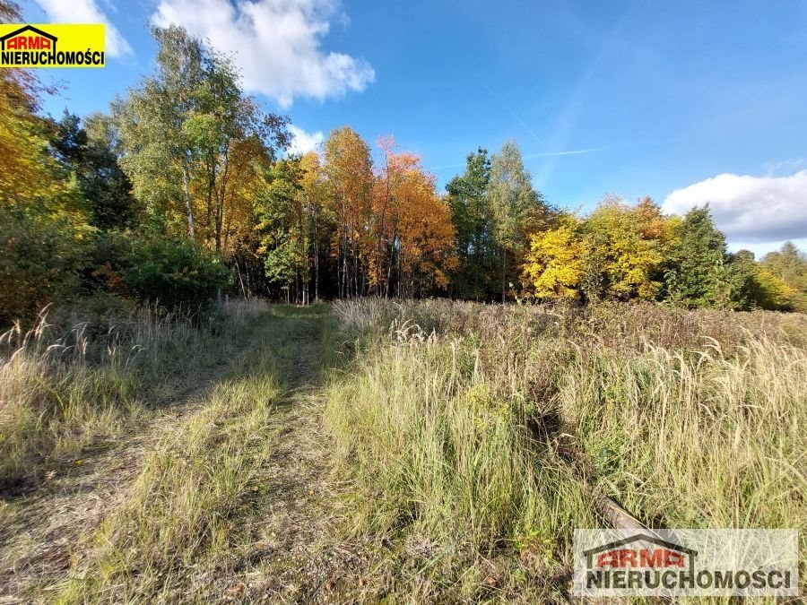 Działka budowlana 1000 m2 w Żarowie – cisza i las Żarowo  1 000m2 Foto 1