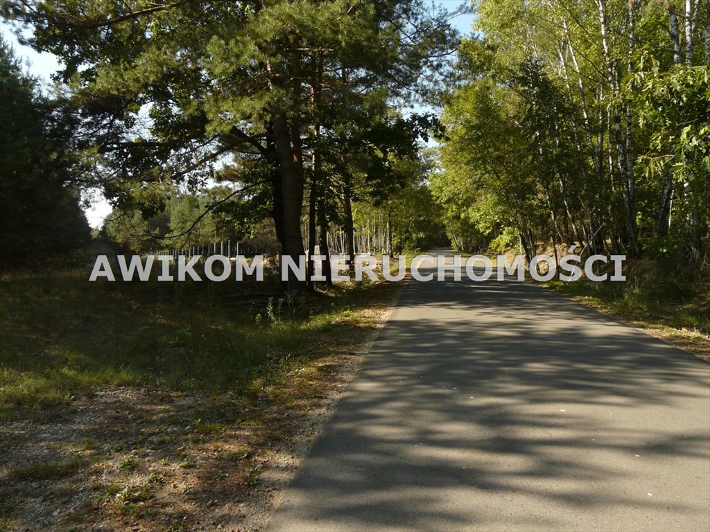 Działka leśna na sprzedaż Przewodowice  6 314m2 Foto 2