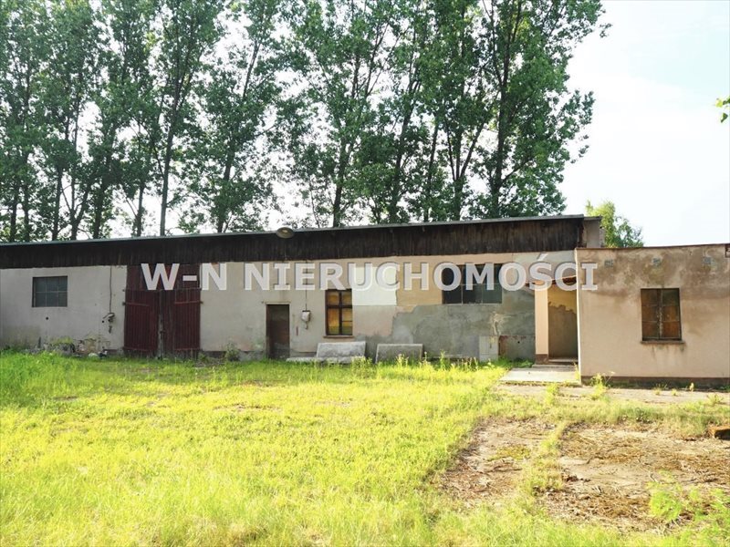 Lokal użytkowy na sprzedaż Łysiny 3 883m2 Foto 1 Lokal użytkowy na sprzedaż Łysiny 3 883m2 Foto 1