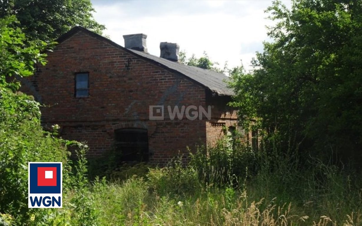 Urokliwe siedlisko na dużej działce blisko jeziora Czarownica Borzymin, Borzymin, Borzymin  123m2 Foto 1