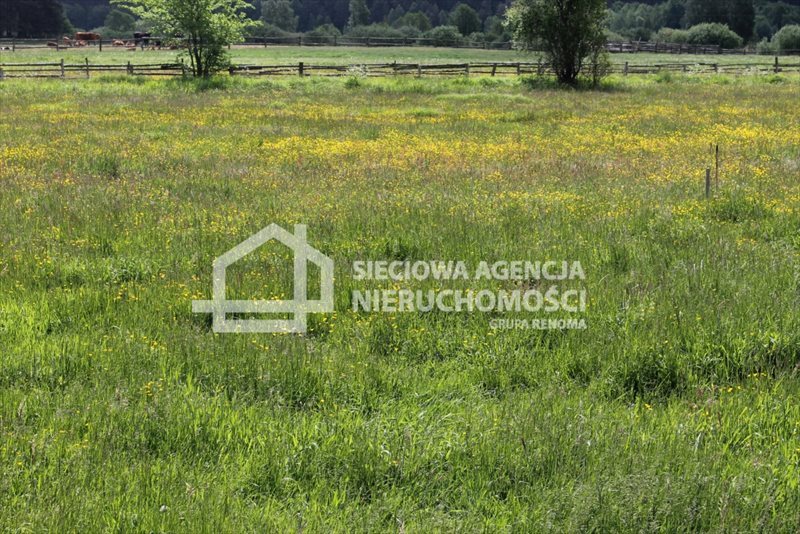 Działka budowlana na sprzedaż Lubowidz 1 005m2 Foto 1 Działka budowlana na sprzedaż Lubowidz 1 005m2 Foto 1