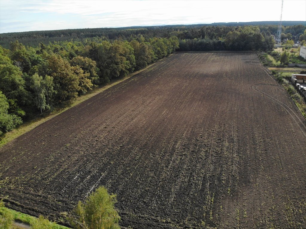 Działka przemysłowo-handlowa na sprzedaż Gromadka  9 200m2 Foto 11