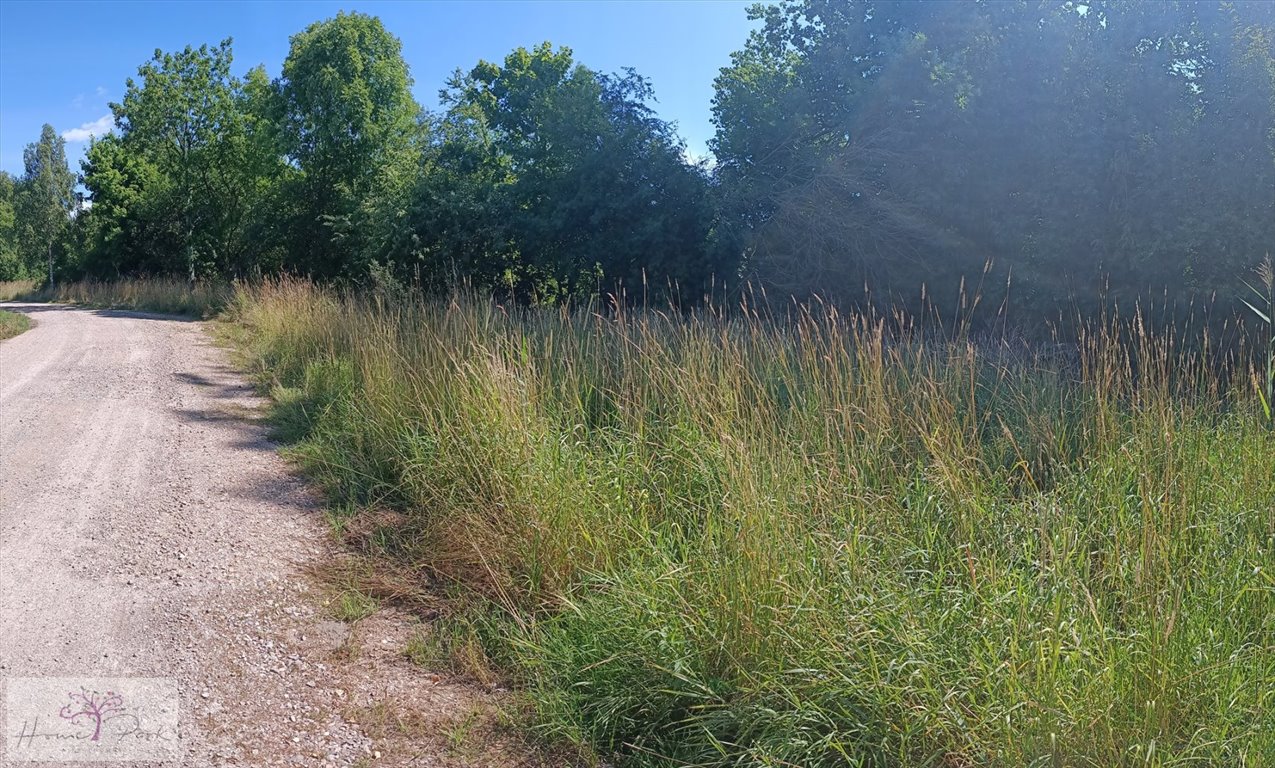 Działka budowlana na sprzedaż Pabianice, Stare Miasto  3 300m2 Foto 1