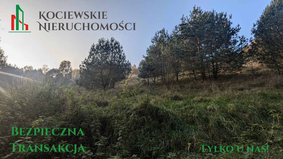 Działka siedliskowa na sprzedaż Głodowo  1 785m2 Foto 7