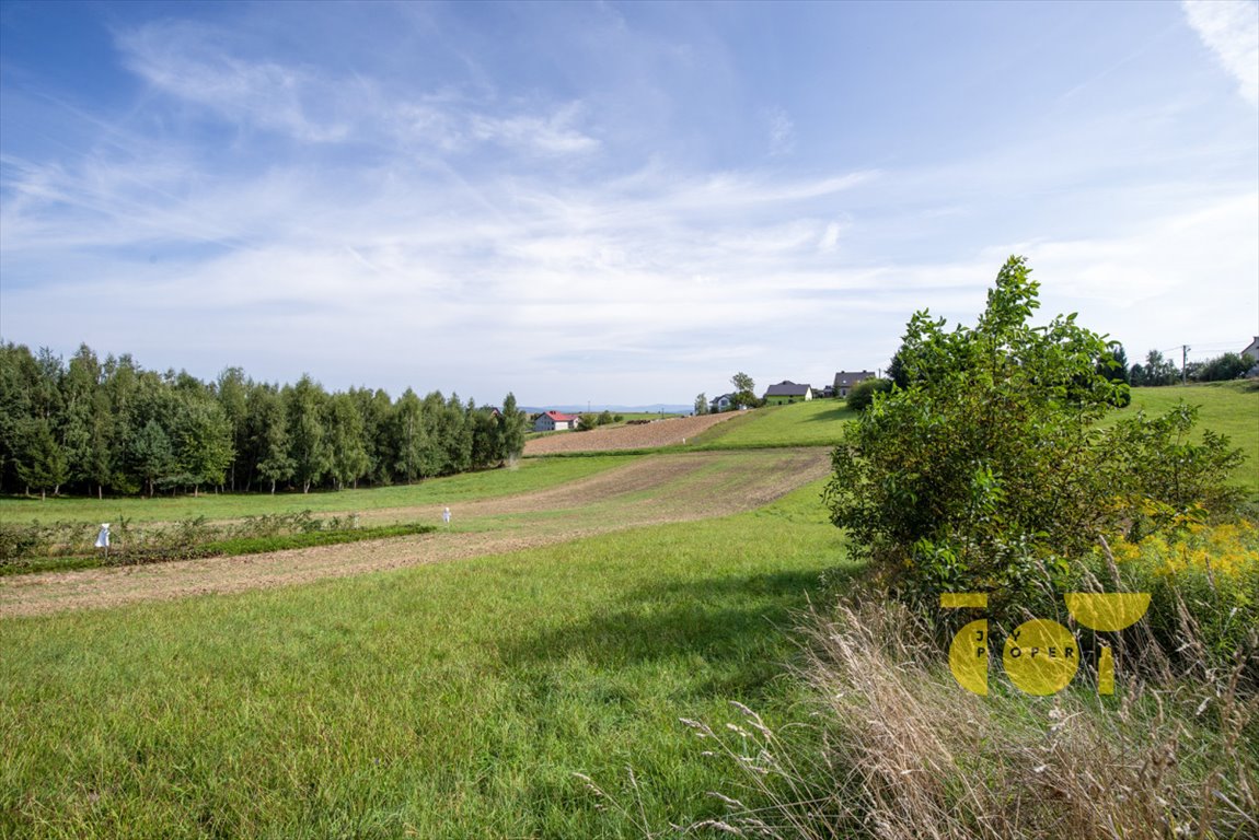 Działka budowlana na sprzedaż Brzezie  1 582m2 Foto 12