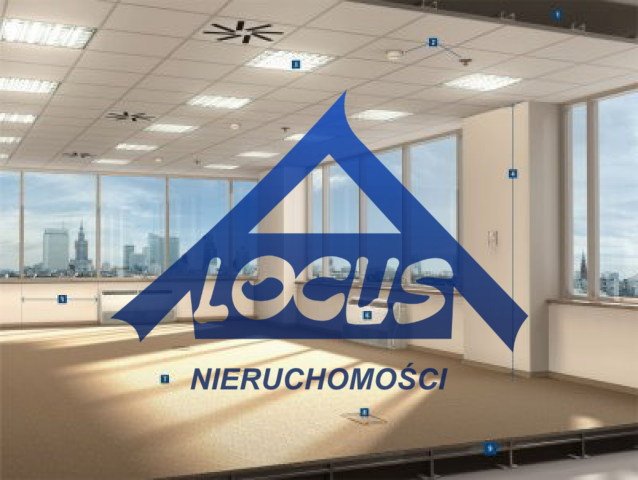 Zdjęcie 8