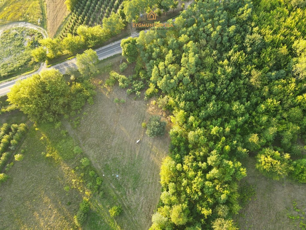 Działka rolna na sprzedaż Nowe Miasto nad Pilicą, Pobiedna, Pobiedna  2 543m2 Foto 6