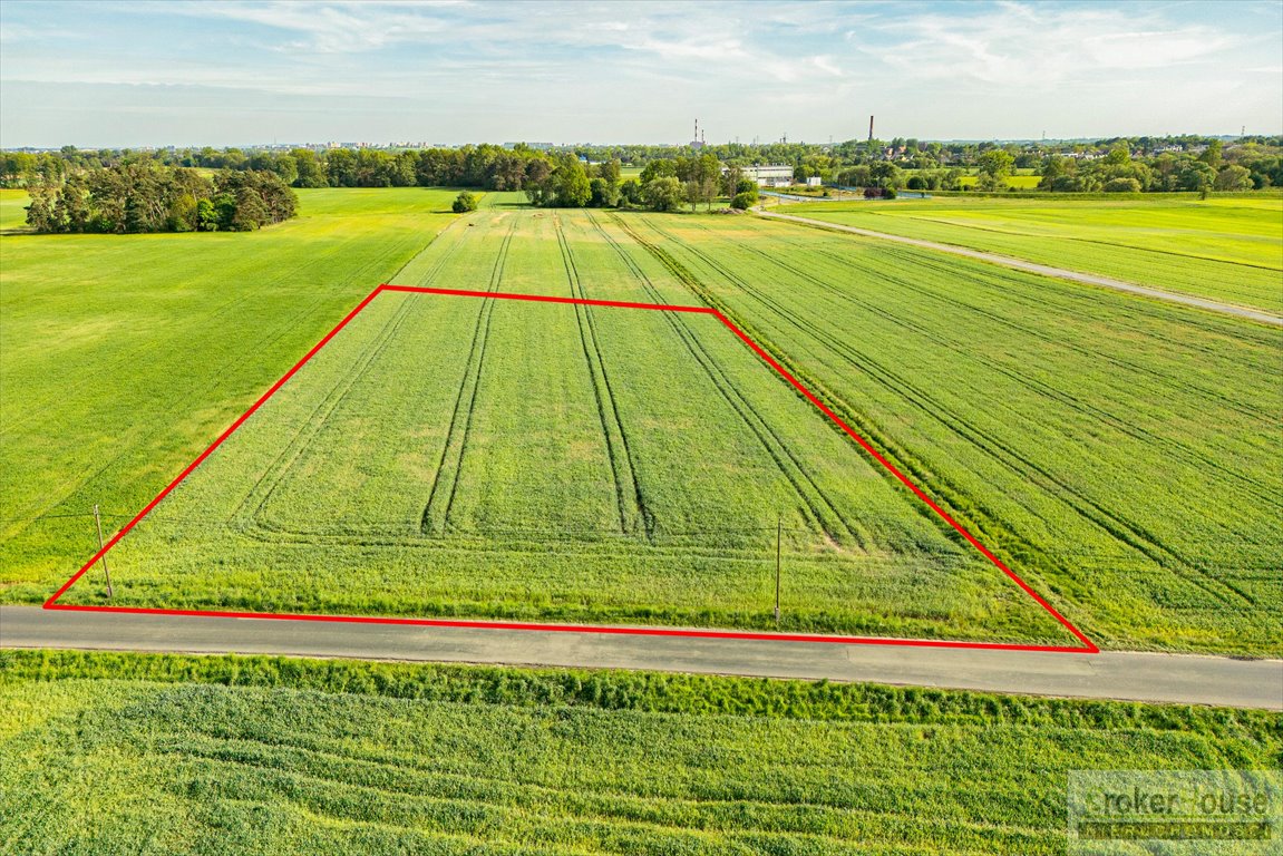 Działka budowlana na sprzedaż Opole, Krzyżowa  8 000m2 Foto 4