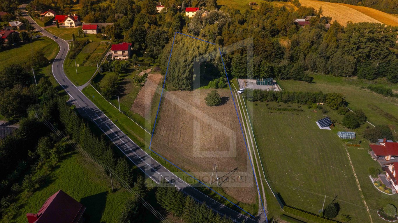 Działka rolna na sprzedaż Albigowa  4 400m2 Foto 4