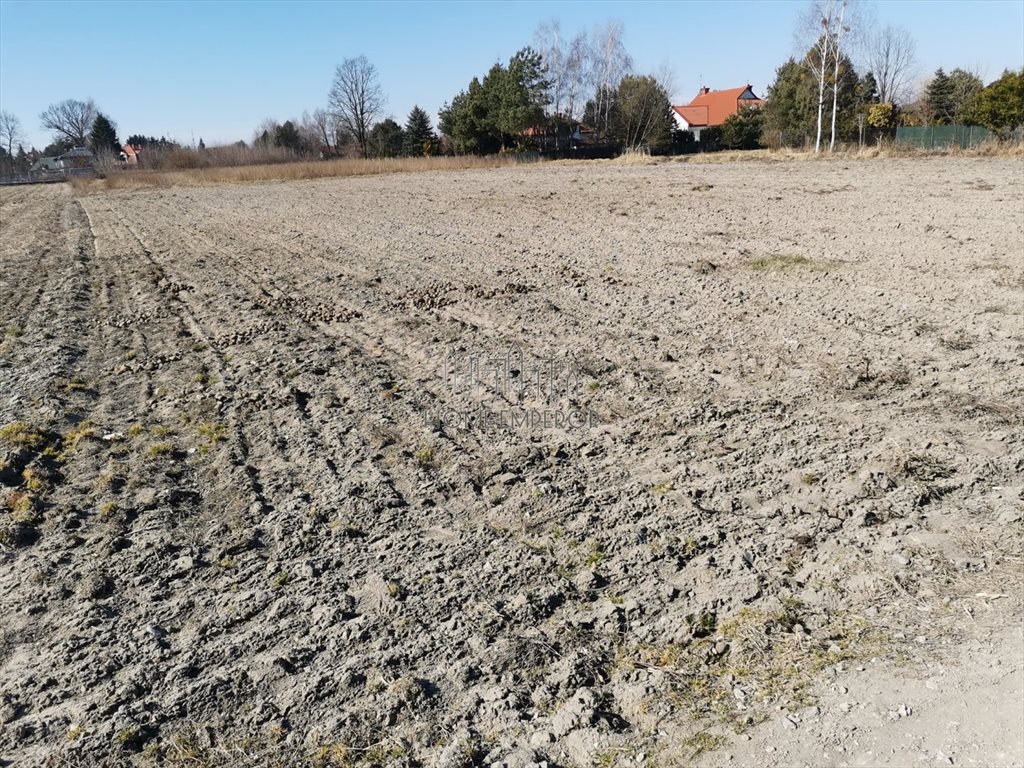 Działka budowlana na sprzedaż Jastrzębie, Jastrzębska  3 641m2 Foto 2