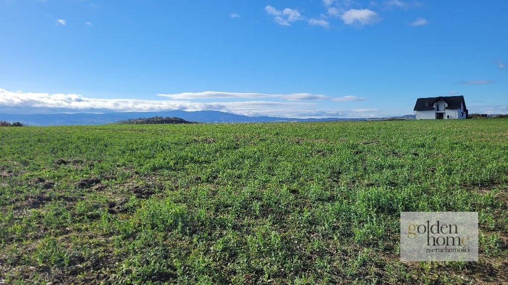 Działka budowlana na sprzedaż Gryfów Śląski, Krzewie Wielkie  1 277m2 Foto 7