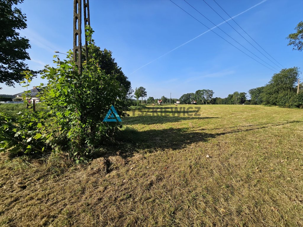 Działka budowlana na sprzedaż Dąbie  16 000m2 Foto 4